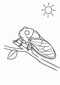 Cicada Singing Under the Summer Sun Coloring Page coloring page